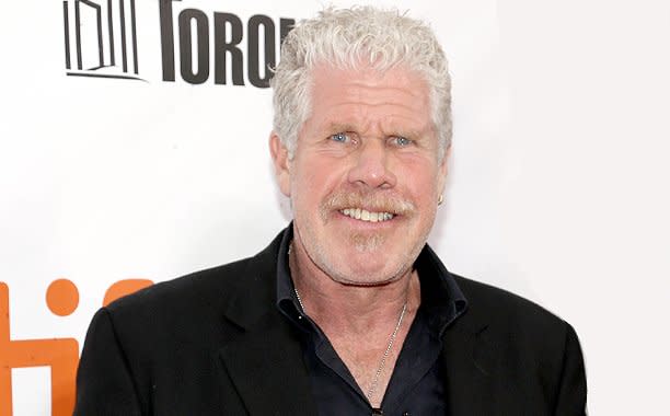 Ron perlman divorce settlement radar