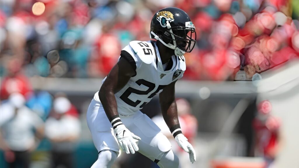 D.J. Hayden net worth